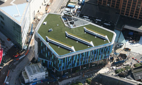 Green roofs « SuDS Wales – Sustainable Drainage Systems