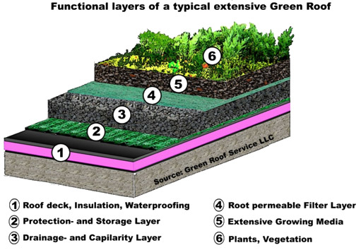 Green roofs « SuDS Wales – Sustainable Drainage Systems