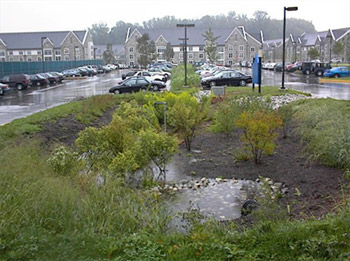 Infiltration basins « SuDS Wales – Sustainable Drainage Systems