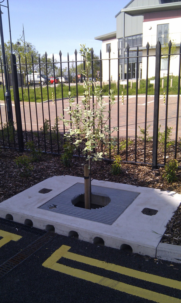 Barry bioretention system meets water quality requirements « SuDS Wales ...