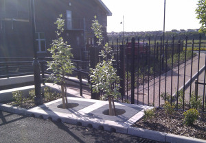 Filterra Bioretention systems at Barry South Wales